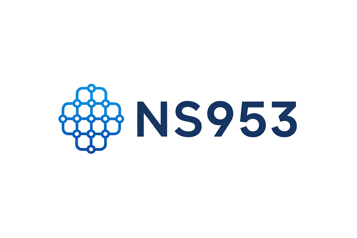 NS953.com